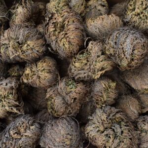 SOULBEAUTY - Rosa Jericó